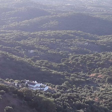 Olive Tree Cottage - Quinta de Evoramonte Estremoz Exterior foto