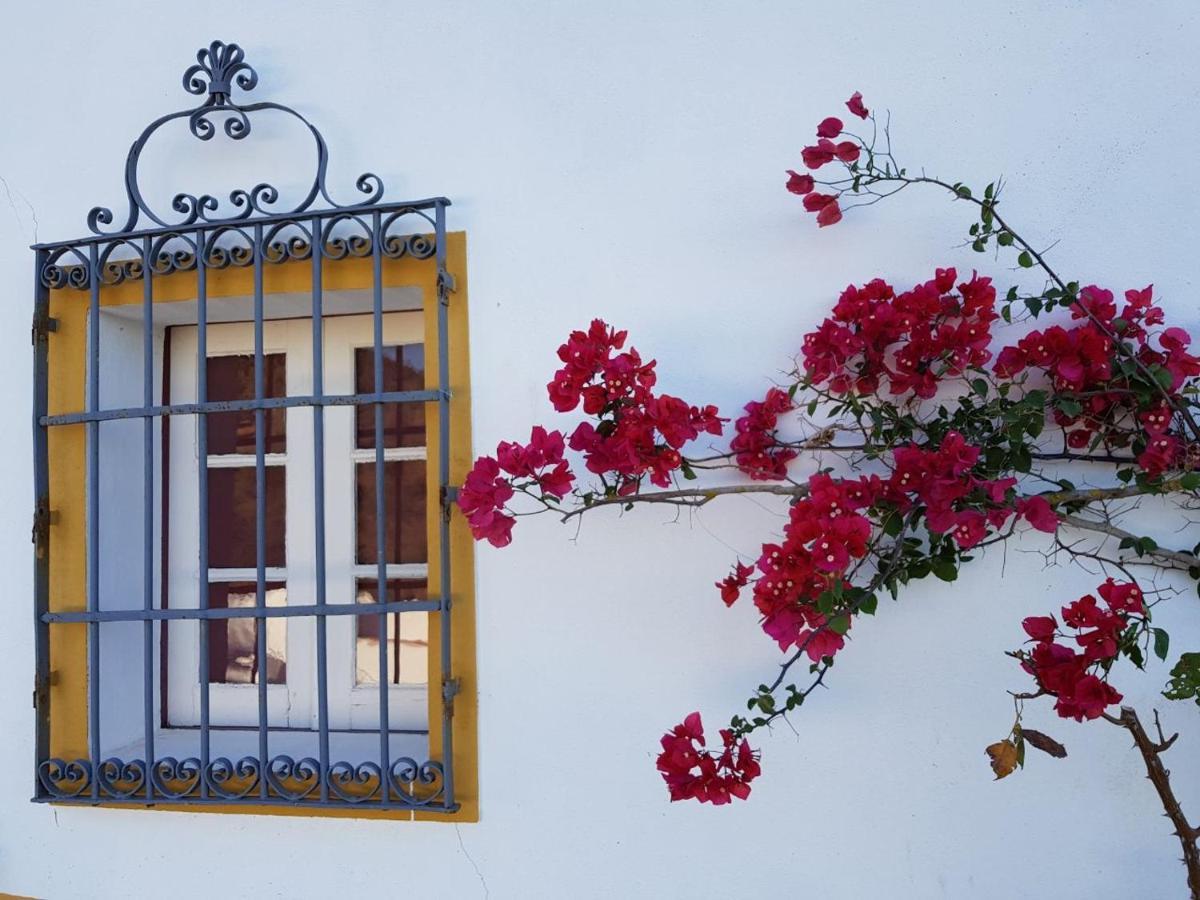 Olive Tree Cottage - Quinta de Evoramonte Estremoz Exterior foto